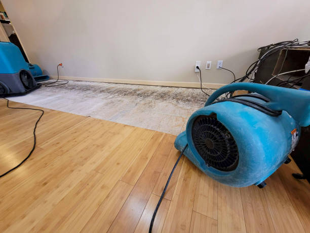 Professional Structural Drying technician working in Manzanola, CO